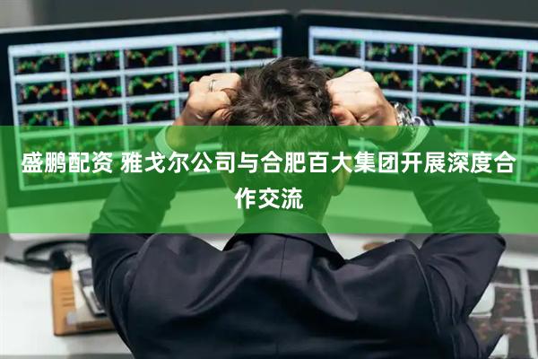 盛鹏配资 雅戈尔公司与合肥百大集团开展深度合作交流