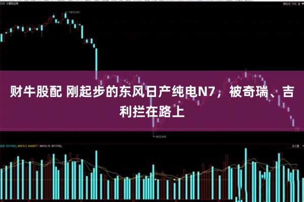 财牛股配 刚起步的东风日产纯电N7，被奇瑞、吉利拦在路上