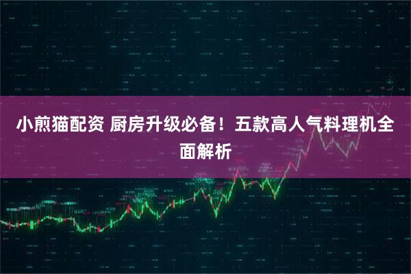 小煎猫配资 厨房升级必备！五款高人气料理机全面解析